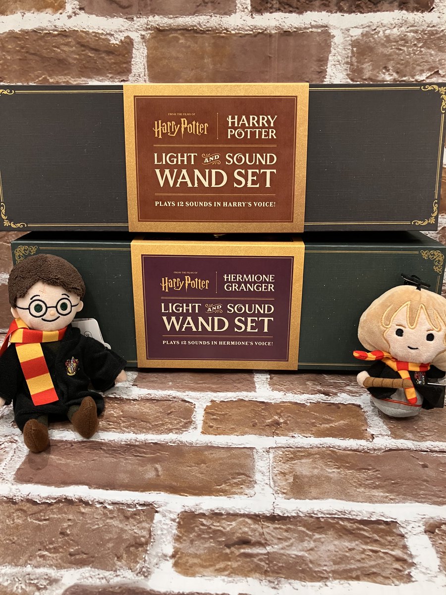 4階洋書】ハリー・ポッターとハーマイオニー・グレンジャーの杖セット