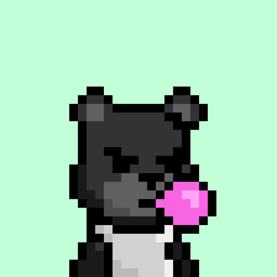 good morning to everyone except paper hands ☀️🐻
sol bears waking up hungry today.
big energy, bigger plans.
holders gonna eat.