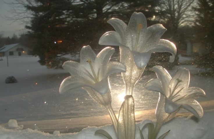 thtrainwreck's tweet image. 