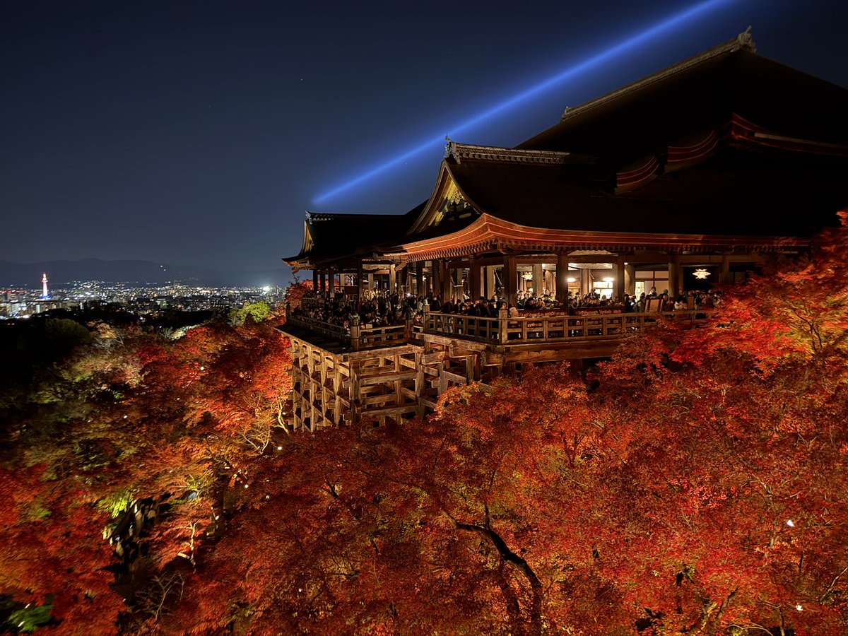 dannywei17's tweet photo. @nekosame0406 So beautiful https://t.co/CBTlXJoGFY