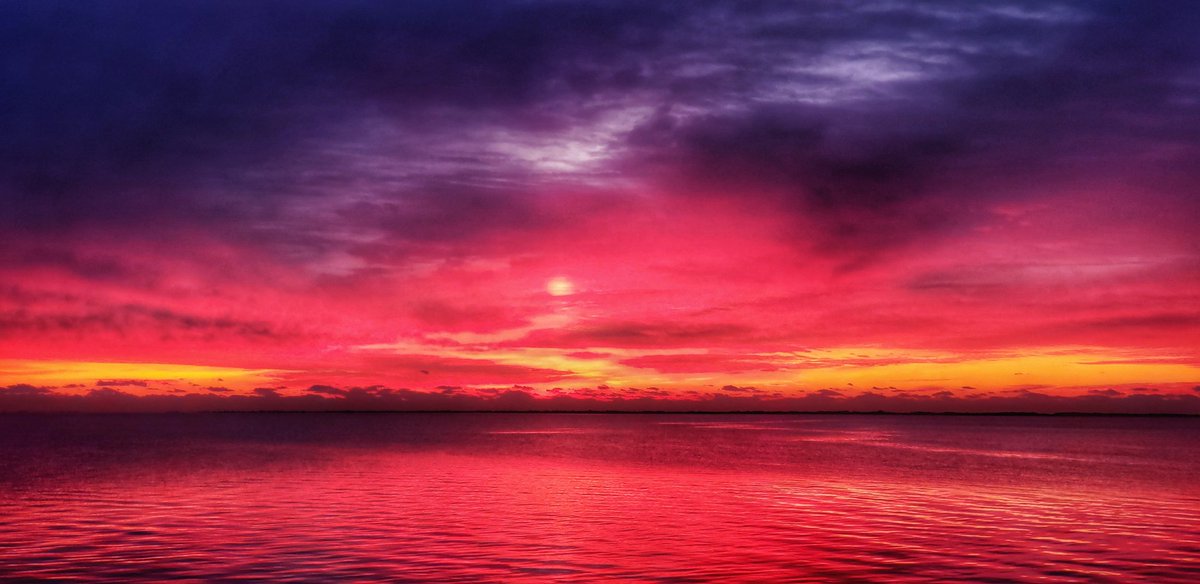 Sapo Man Photography 😃 tweet media