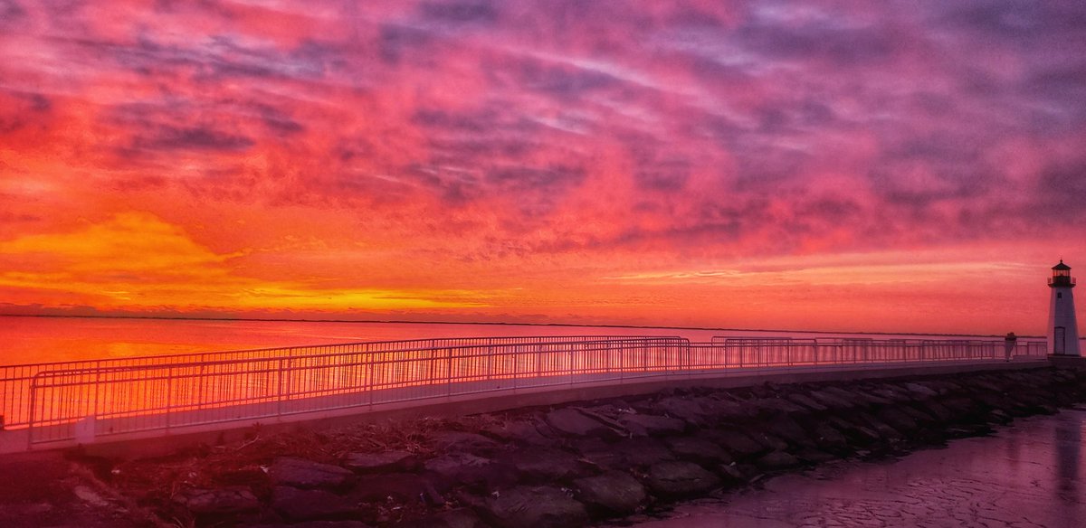 Sapo Man Photography 😃 tweet media