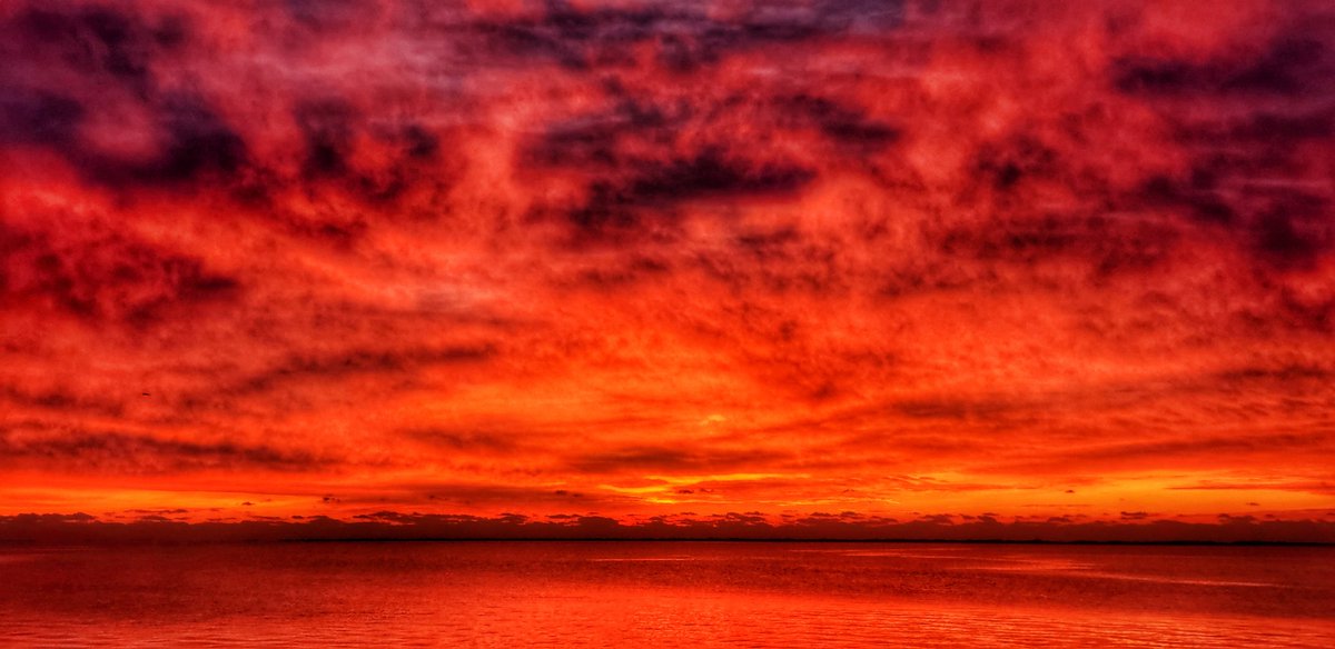 Sapo Man Photography 😃 tweet media