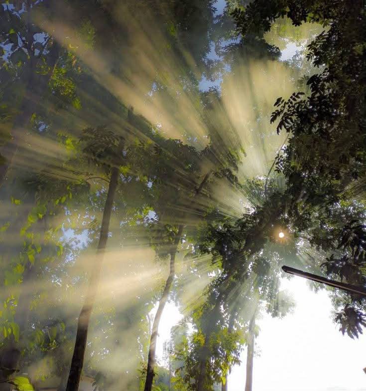 نُسَيْبَة. tweet media