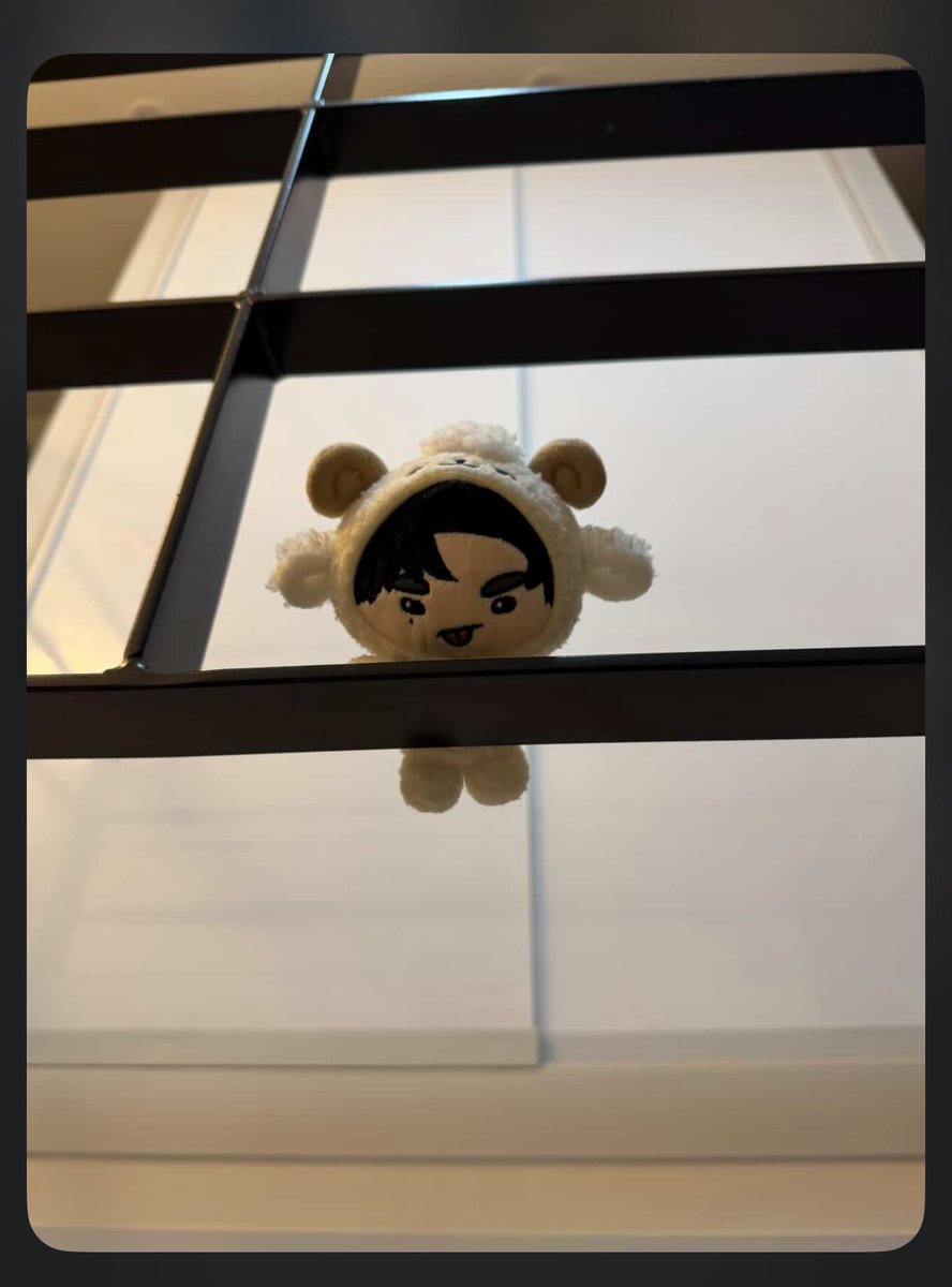 cyoki_jay's tweet image. 過去一で🐏マグネットちゃんが愛おしく思う今日……🥕パックしよ。