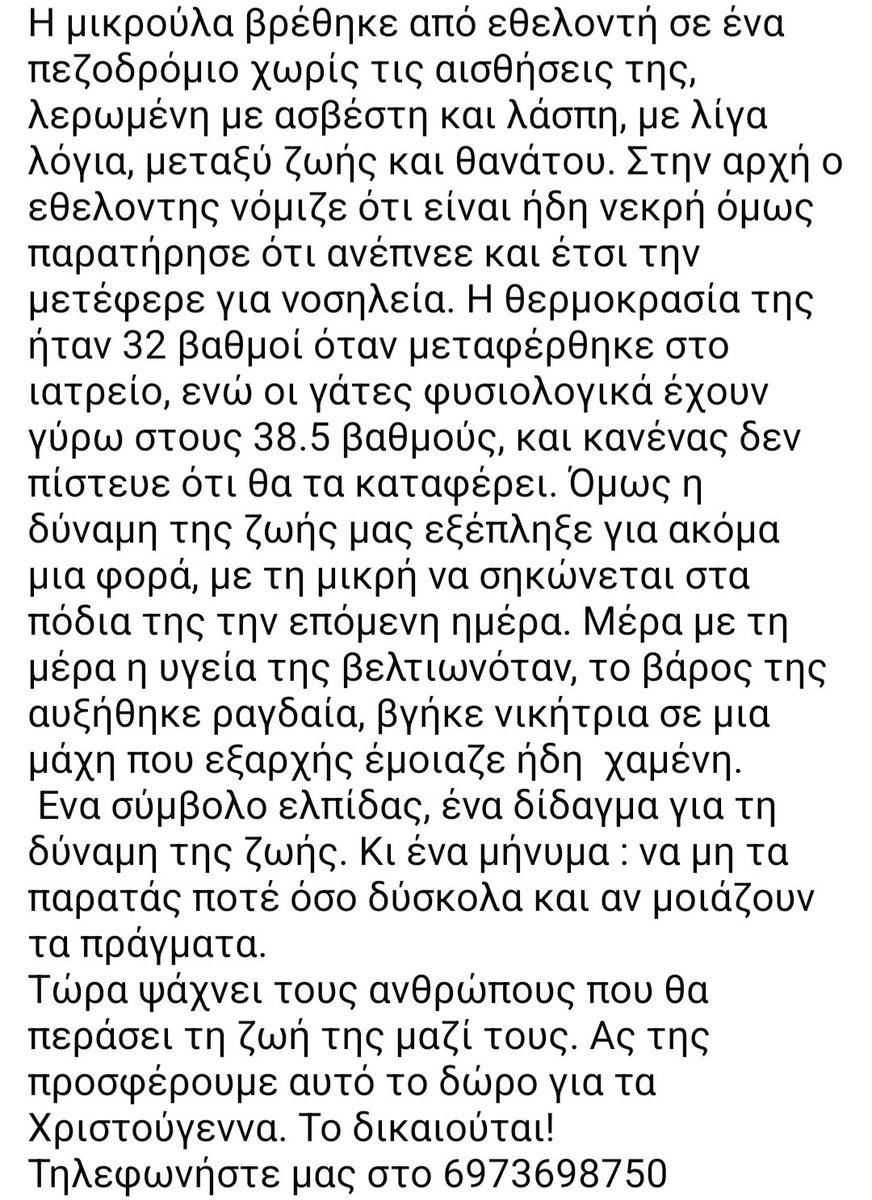 KatKatPt's tweet image. 🆘️🆘️🆘️
Η μικρούλα βρέθηκε απο εθελοντή χωρίς τις αισθήσεις της λερωμένη με ασβέστη κ λάσπη ετοιμοθάνατη
Σώθηκε για καλή της τύχη κ ανέκαμψε
Τώρα ψάχνει τους ανθρώπους που θα περάσει τη ζωή της μαζί τους
Ένα σπίτι για το τυχερό αυτό γατάκι;
Rt 🙏 🙏 🙏