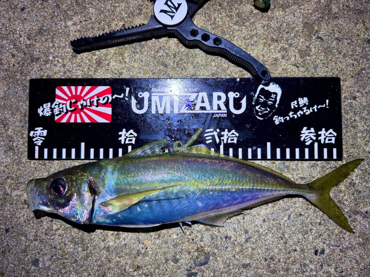 𓆜𓆝ジャスミン03 𓆞𓆟 (@Jasmine0_3) / Posts / X