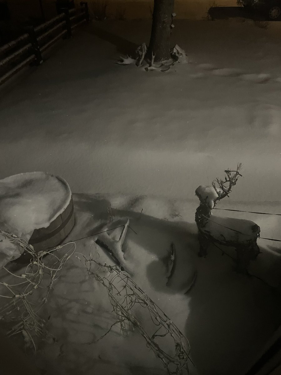 Good morning 5AM , some fresh snow and -19 so it’s warming up 🥵 have a great day y’all😊