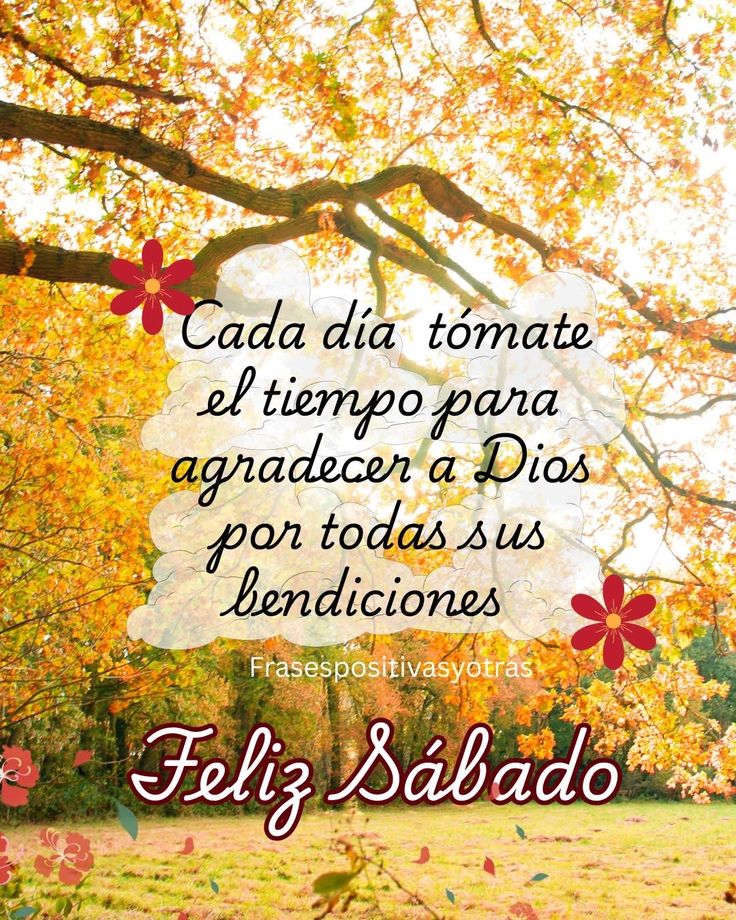 Nilda Petit tweet media