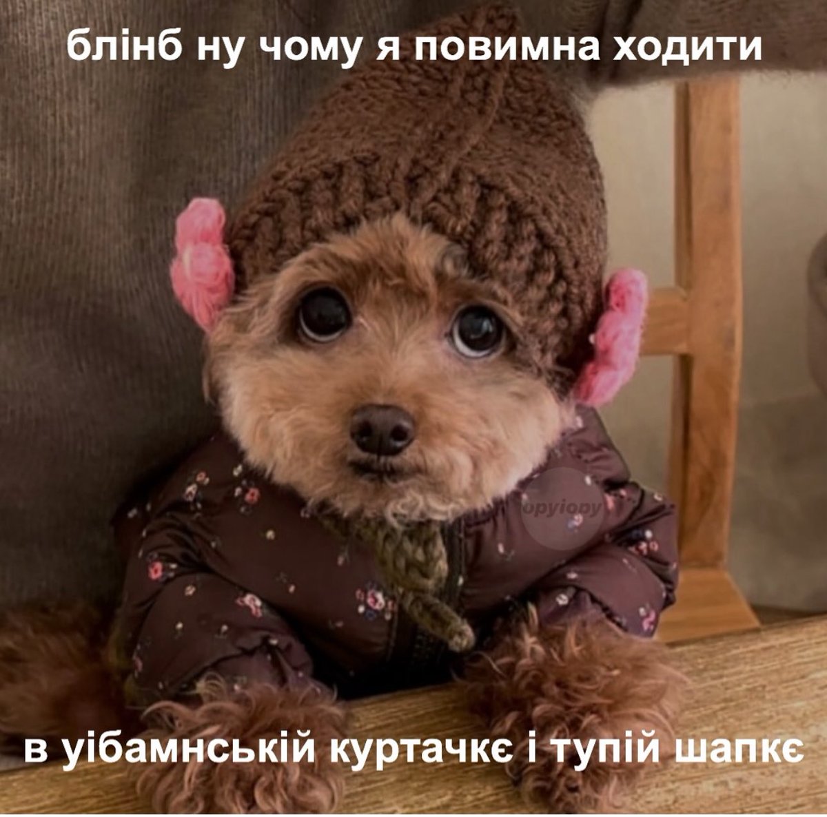 Бачу нуль відмінностей