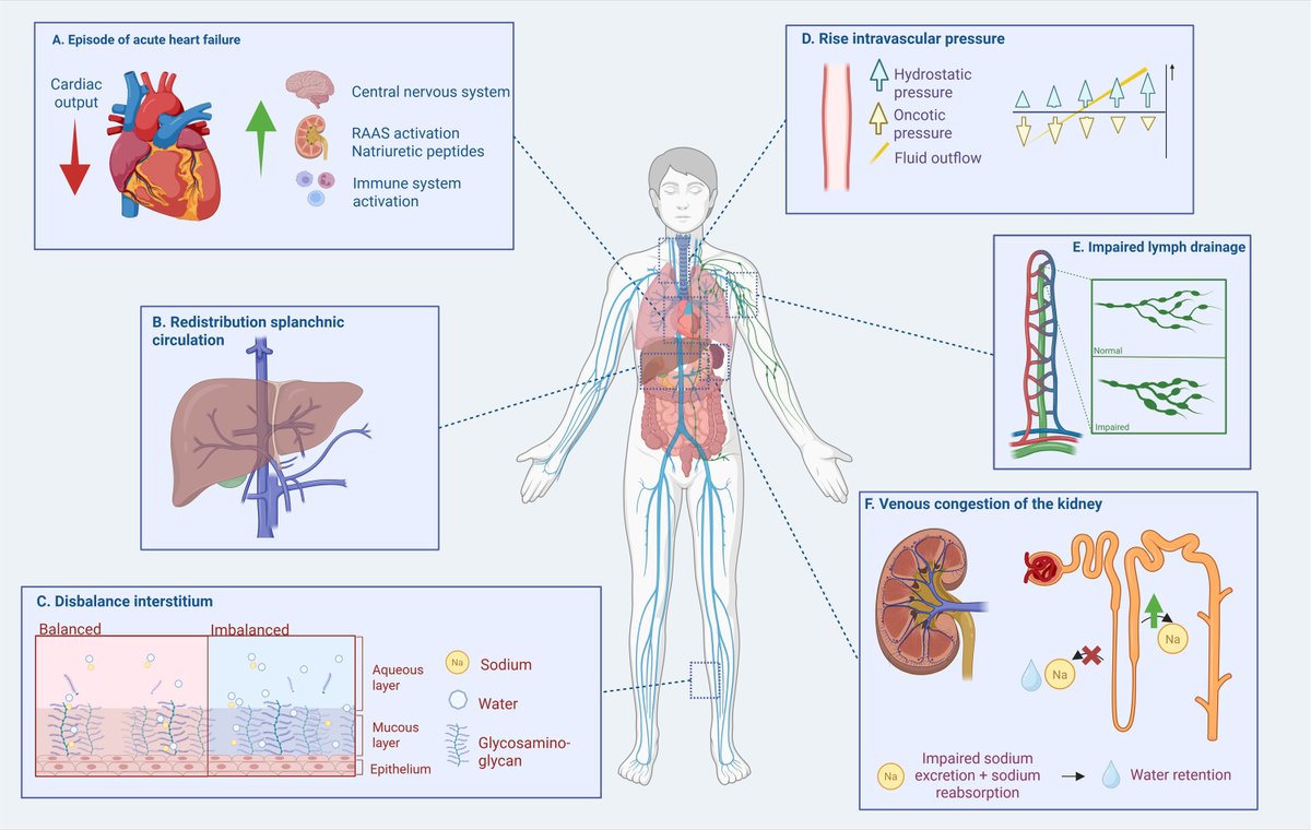 Critical Care Reviews tweet media