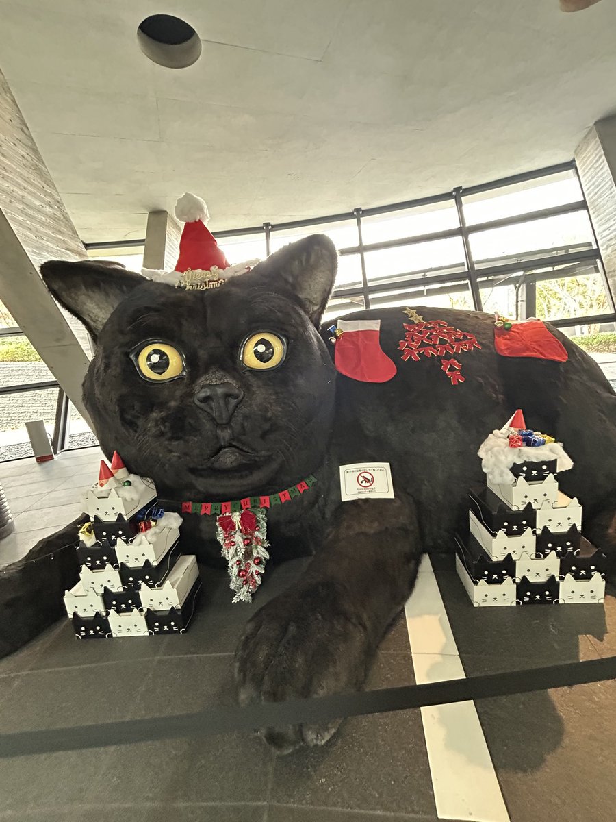 羽田クロノゲートにも寄りました❤️ヤマトの黒猫さん、クリスマスの