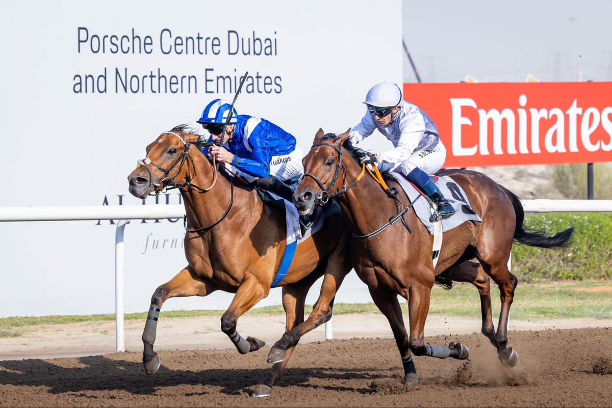 SHADWELL tweet media