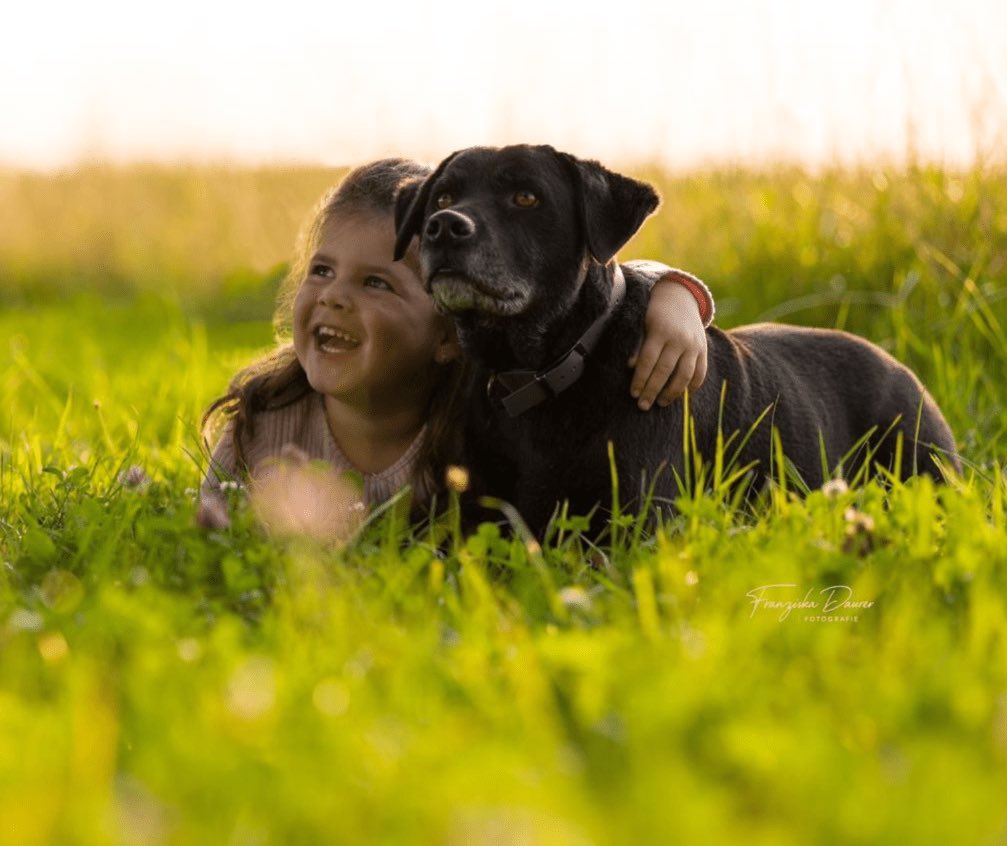 Die 4jährige #Chiara aus #Dinkelsbühl bekam die Diagnose #DIPG, ein schnellwachsender Gehirntumor. Jetzt ist sie in Chemotherapie und Bestrahlung, was die Kleine extrem mitnimmt.
#FrankenHilft sammelt #Spenden, damit #HelftChiara 24/7 betreut werden kann:
paypal.me/frankenhilft