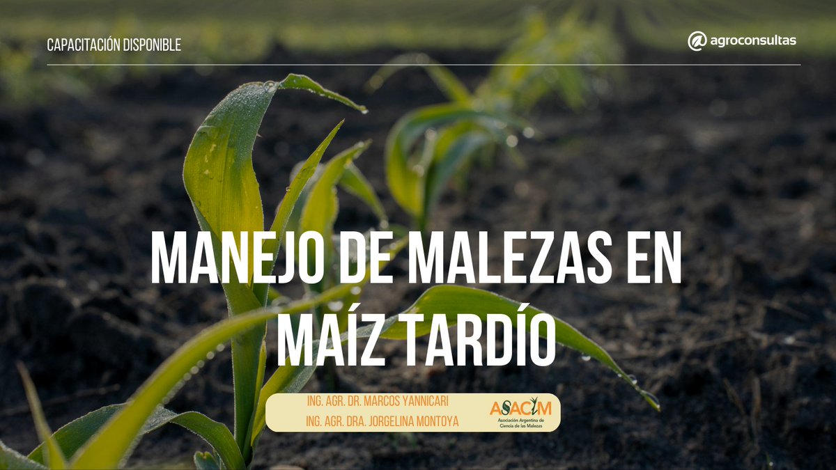 agroconsultasonline tweet media