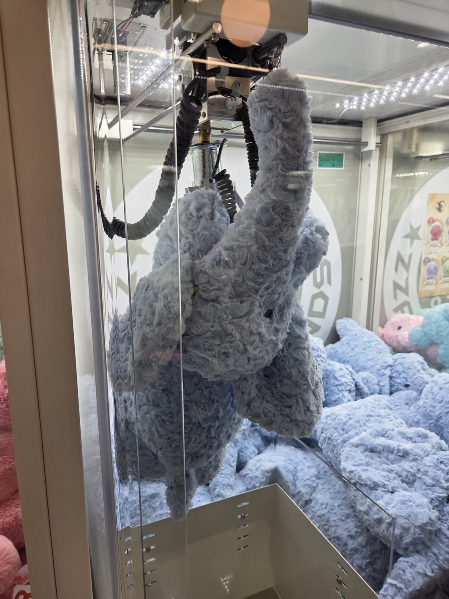 𖦹뽕아지𖦹 tweet media