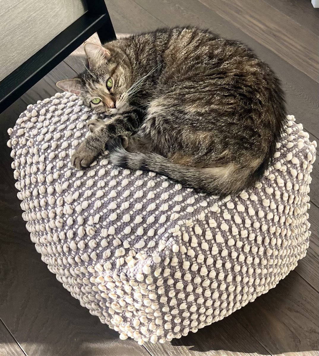 PickliciousF's tweet image. I’ve got a new place to sleep!!