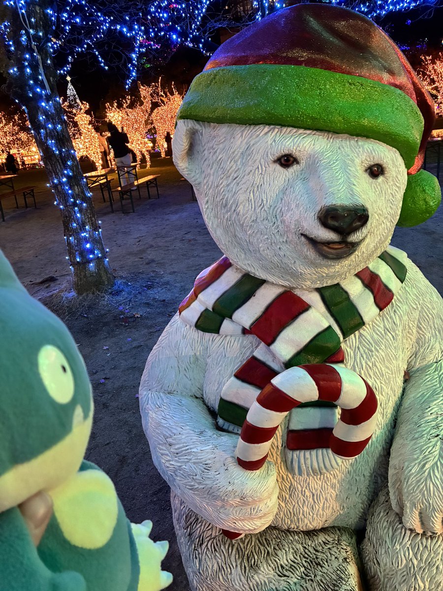 shiropooh622's tweet photo. イルミネーション見てたら白ぷーがいたゴン https://t.co/KWjAQXDVnP