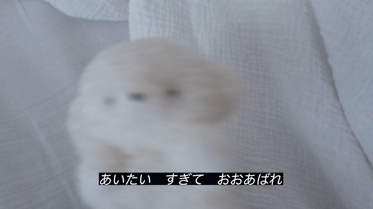 じょせまる tweet media
