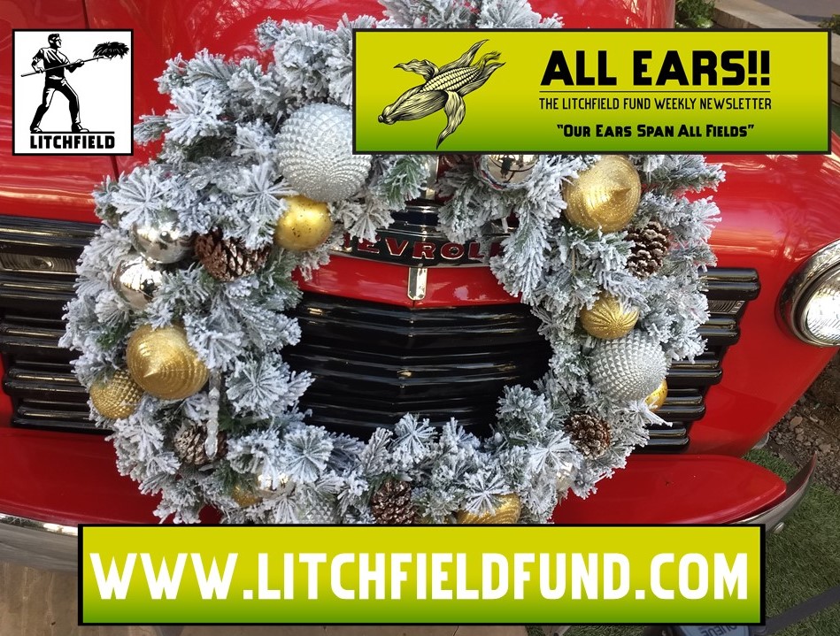 The Litchfield Fund tweet media