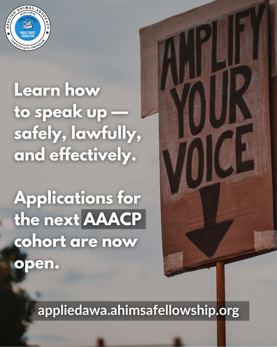 aaacp4animals's tweet photo. When people don’t speak up, animals pay the price.

Every voice challenges cruelty.
Every informed advocate protects animals.

AAACP applications are open.
Learn the laws. Speak up.

🔗 https://t.co/XzQFsJ8m5Q

#AAACP #AnimalAdvocacy https://t.co/0ePKSr0iw3