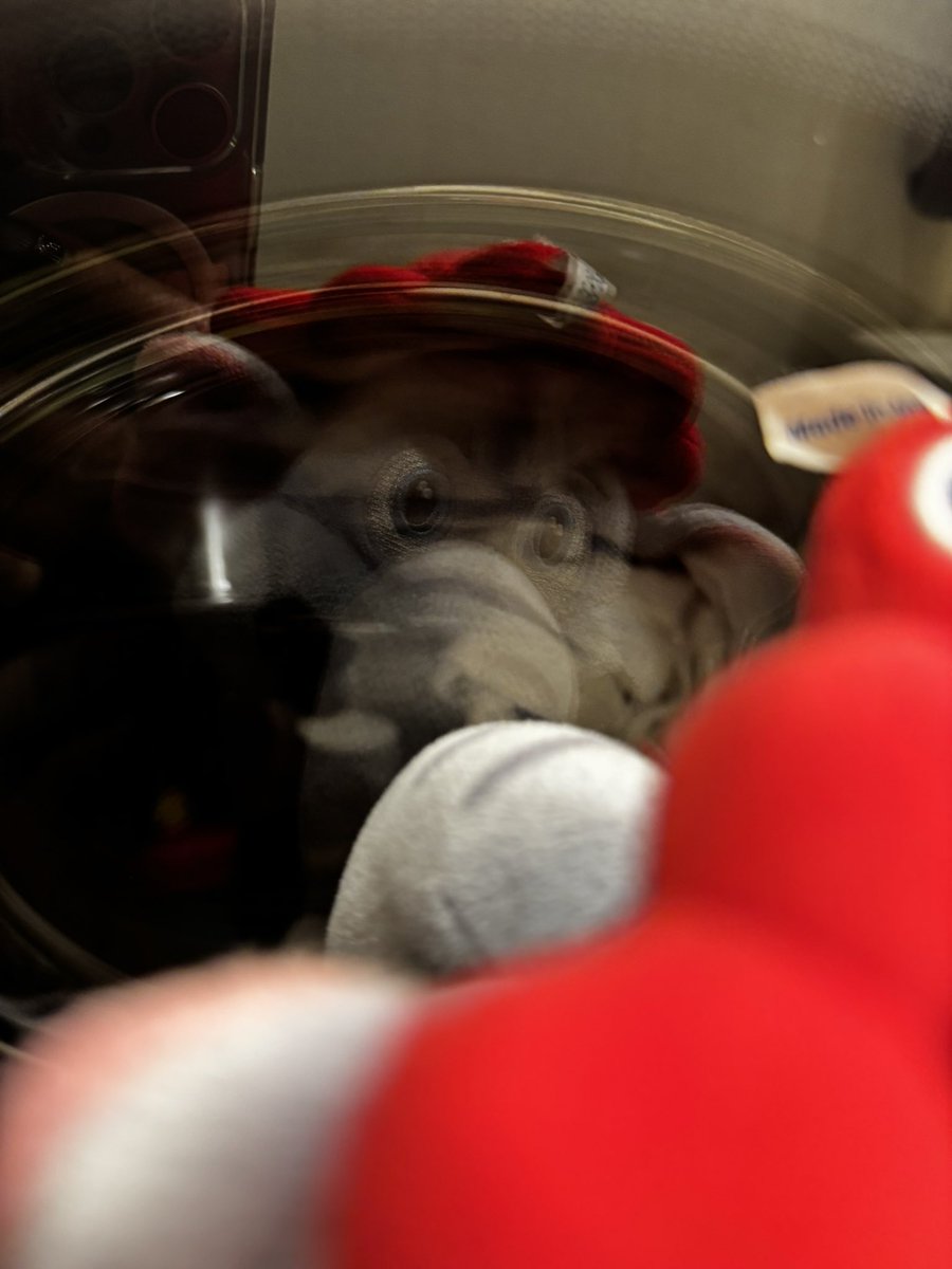 新しい洗濯機が来ました。