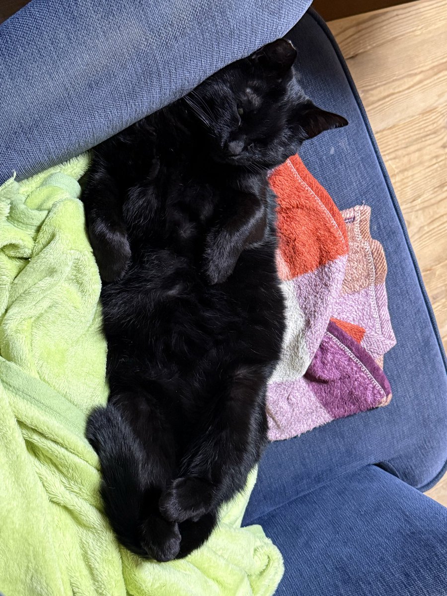 はにわ (@haniwa9821) / Posts / X