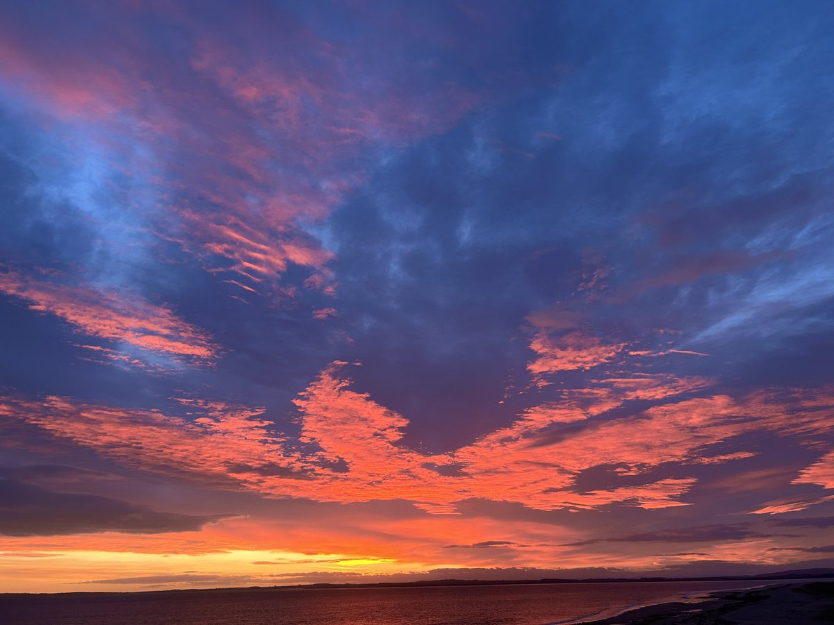 scott aitchison tweet media