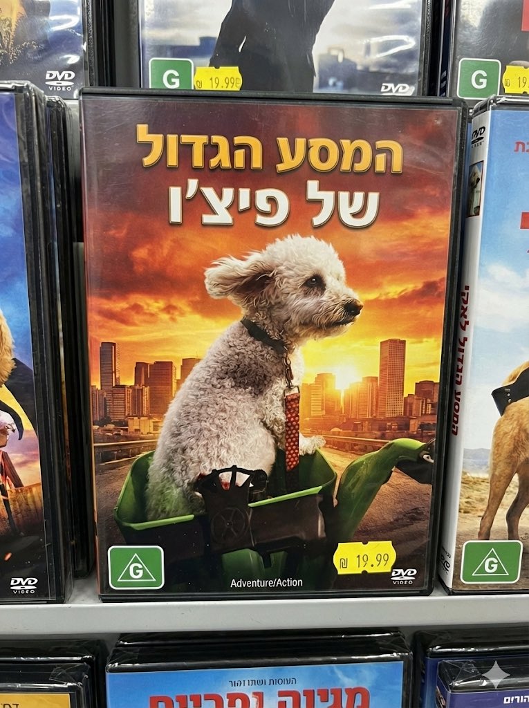 מיגו tweet media