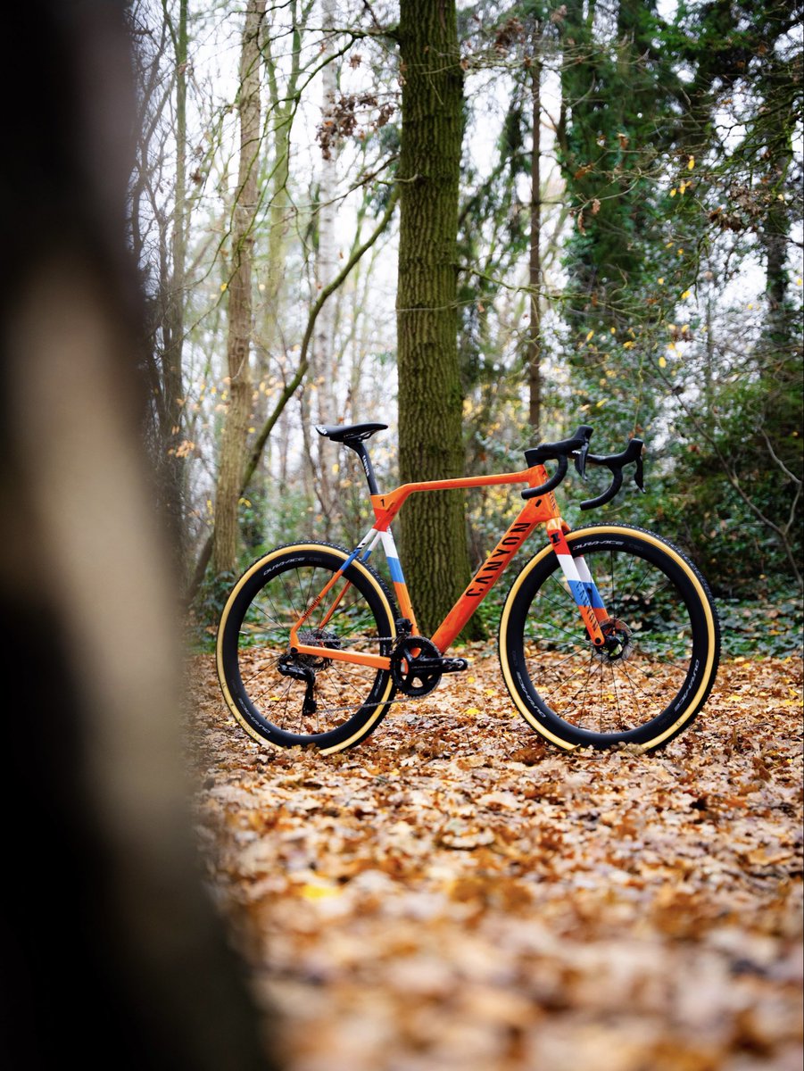 Tibor Del Grosso tweet media