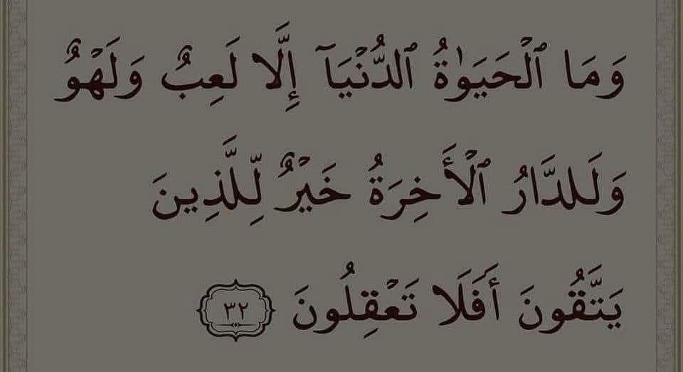 ๐น๐จ๐ต๐ฐ๐จ tweet media