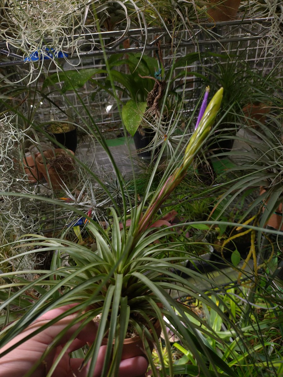 ꙰ かずぴょん🐰💗 ꙰ (@king41310146) / Posts / X