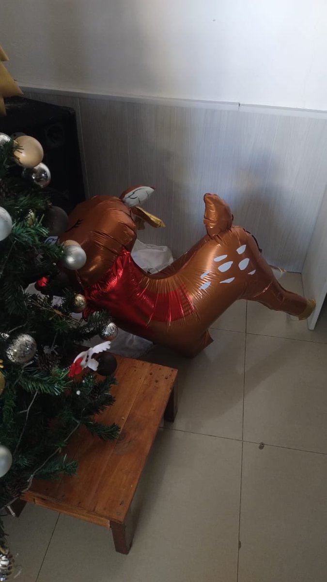 AuronSpooky's tweet photo. *SE BUSCA PELIGROSA CRIATURA SOSPECHOSA DE LASTIMAR A UN RENO DE SANTA*
Adjunto imagen de la sospechosa y de la victima 
#NavidadSegura https://t.co/S2ch9AaRQ8
