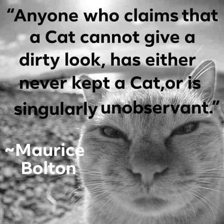 Now that's the look...