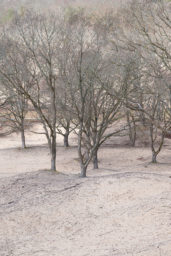 Yeltree's tweet photo. A bare affair in the winter months, but it still creates very unique landscapes. #winterlandscape #naturemoment #barefields #uniquelandscapes #landscapephotography #photography #fotografie #photooftheday https://t.co/spygYgslCS