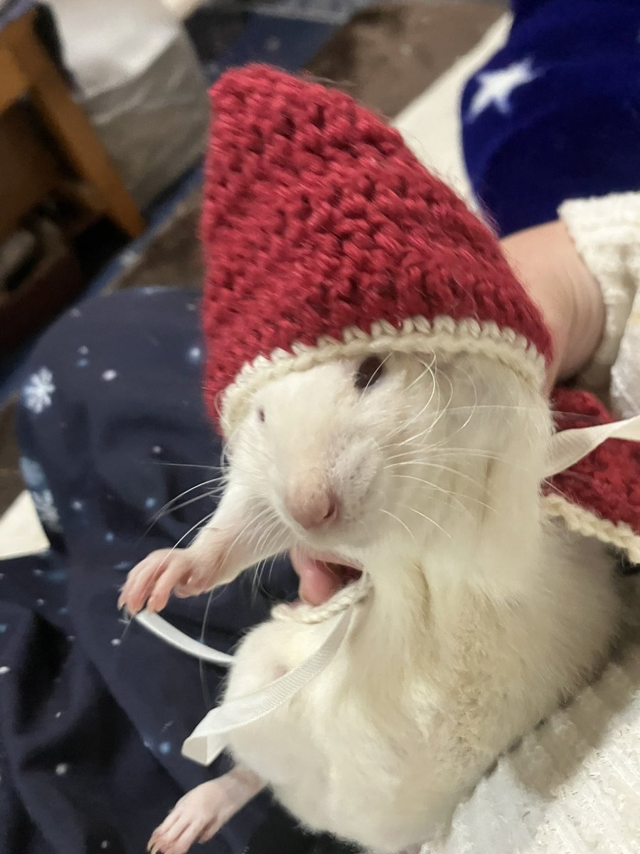 ねクリスマスアドベントネズミ〜(　ε:)3 ﾁｭｳ
去年は幸せ時間だったなぁ