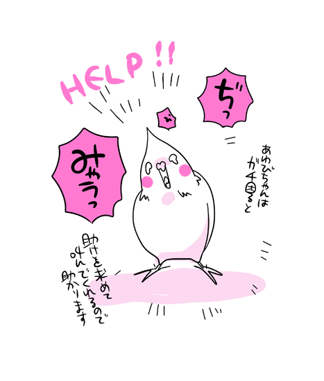 どんくさ可愛いんですわｗ
オカメインコはほんととろいんだけど、そこがたまらなく可愛いですｗ
あんなにピュン！って飛べるのになあｗ