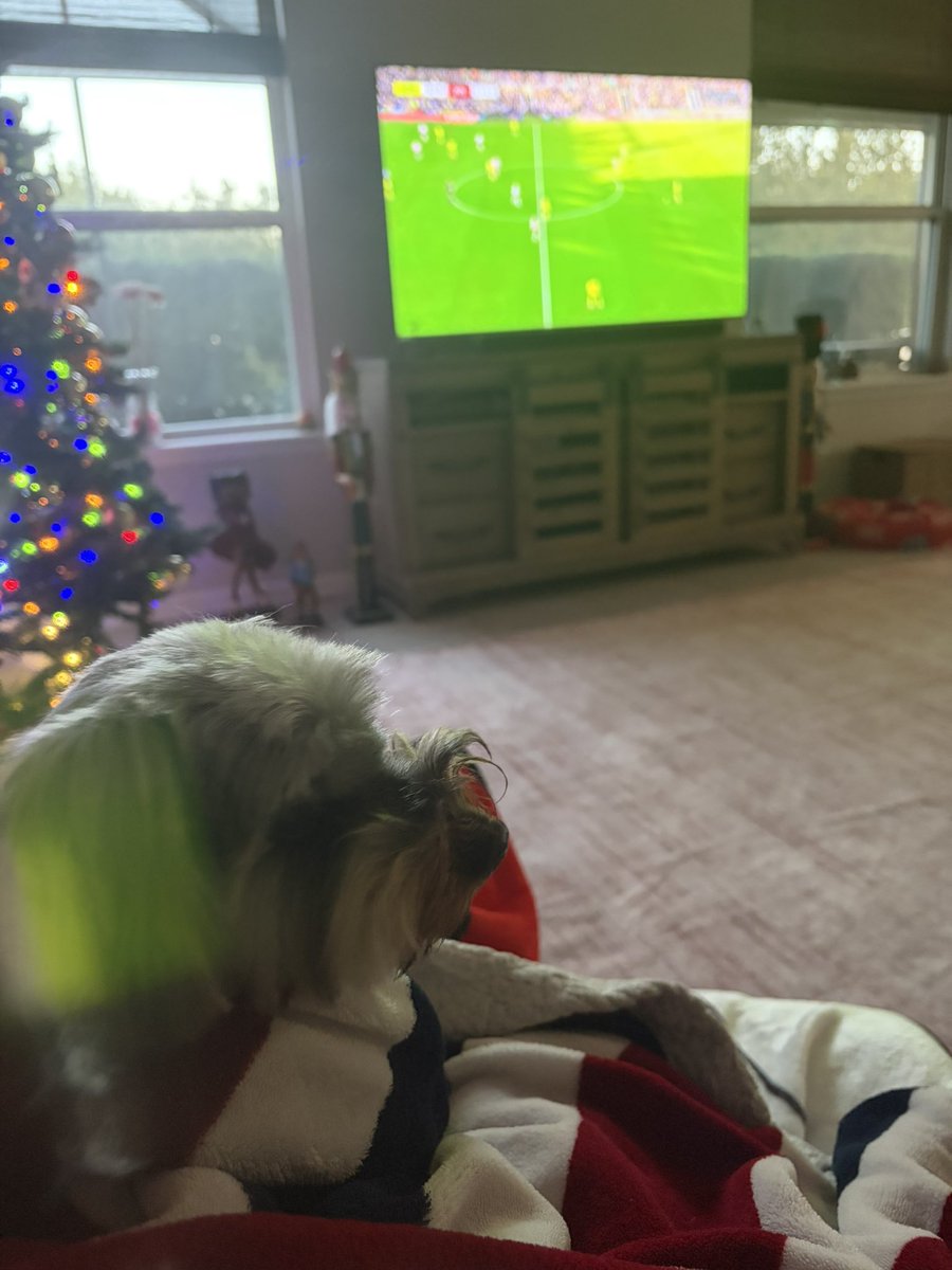 Bev1975's tweet photo. @SouthamptonFC Early morning start from a chilly North Florida! https://t.co/c7l2cQkv2U