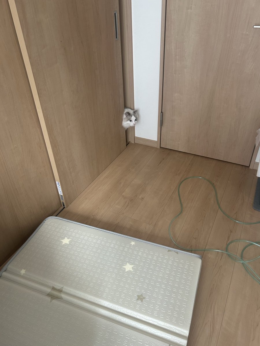 しまっている引き戸を頭で切り開いていく！