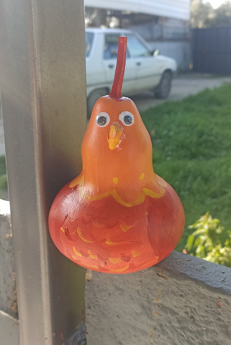 Kendime tavuk yaptım ismi Dudu