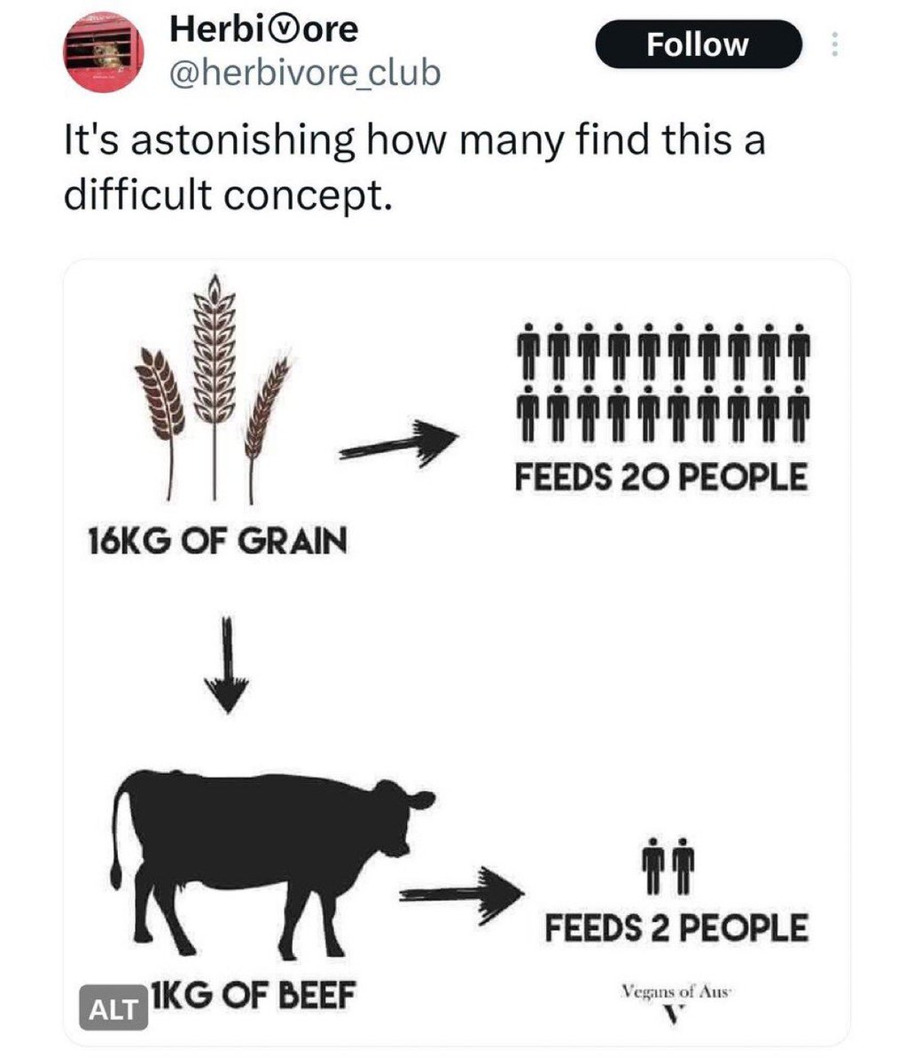 Joe Rogan Podcast News tweet media