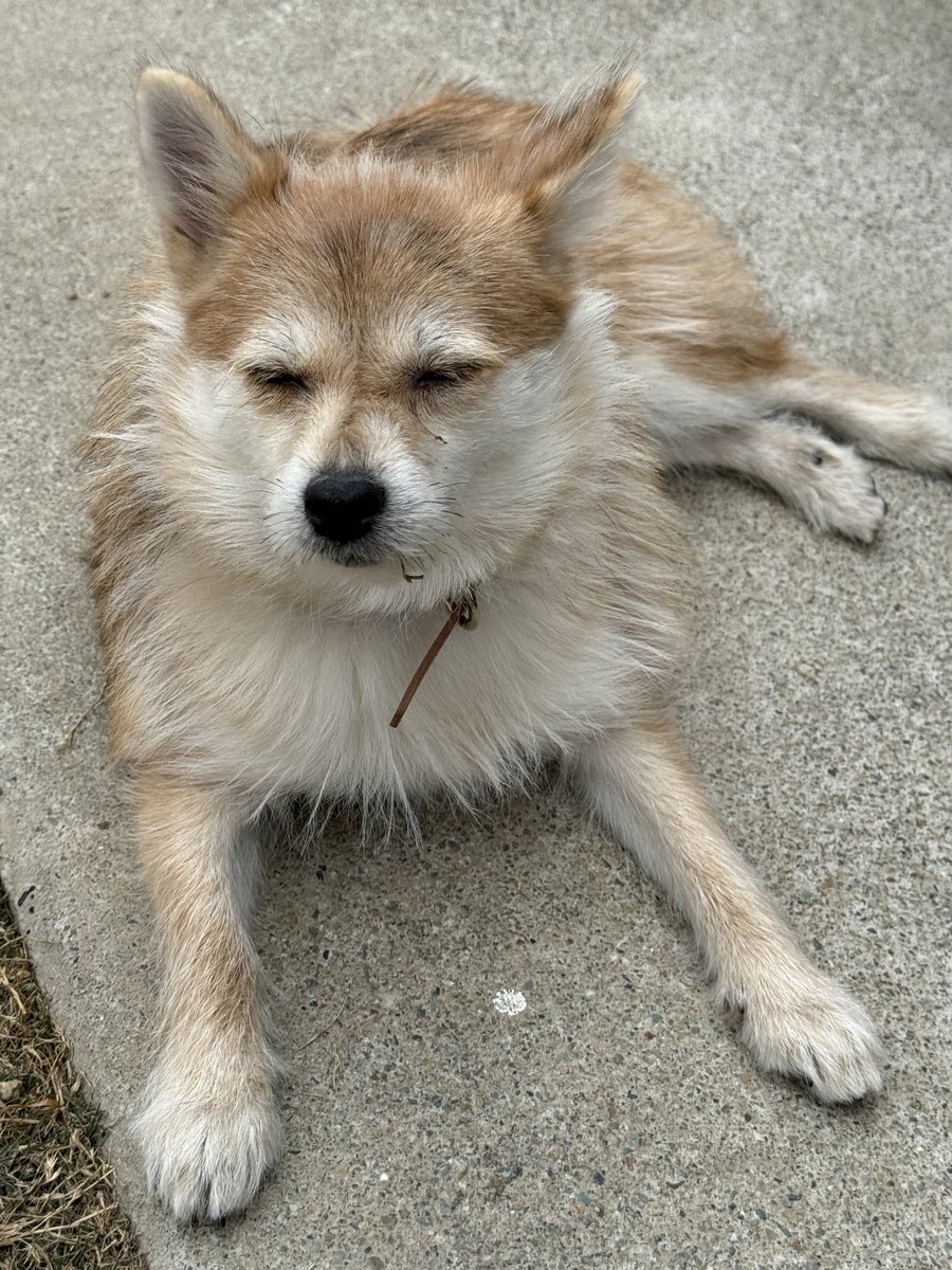 たなキャちゃんねる tweet media