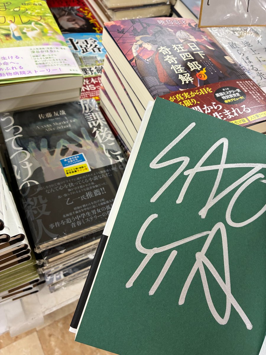 坂本さま差額分 DSC04945_720x.jpg?v=1747028025