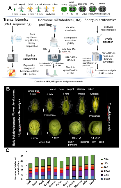 Molecular Plant & Plant Communications tweet media