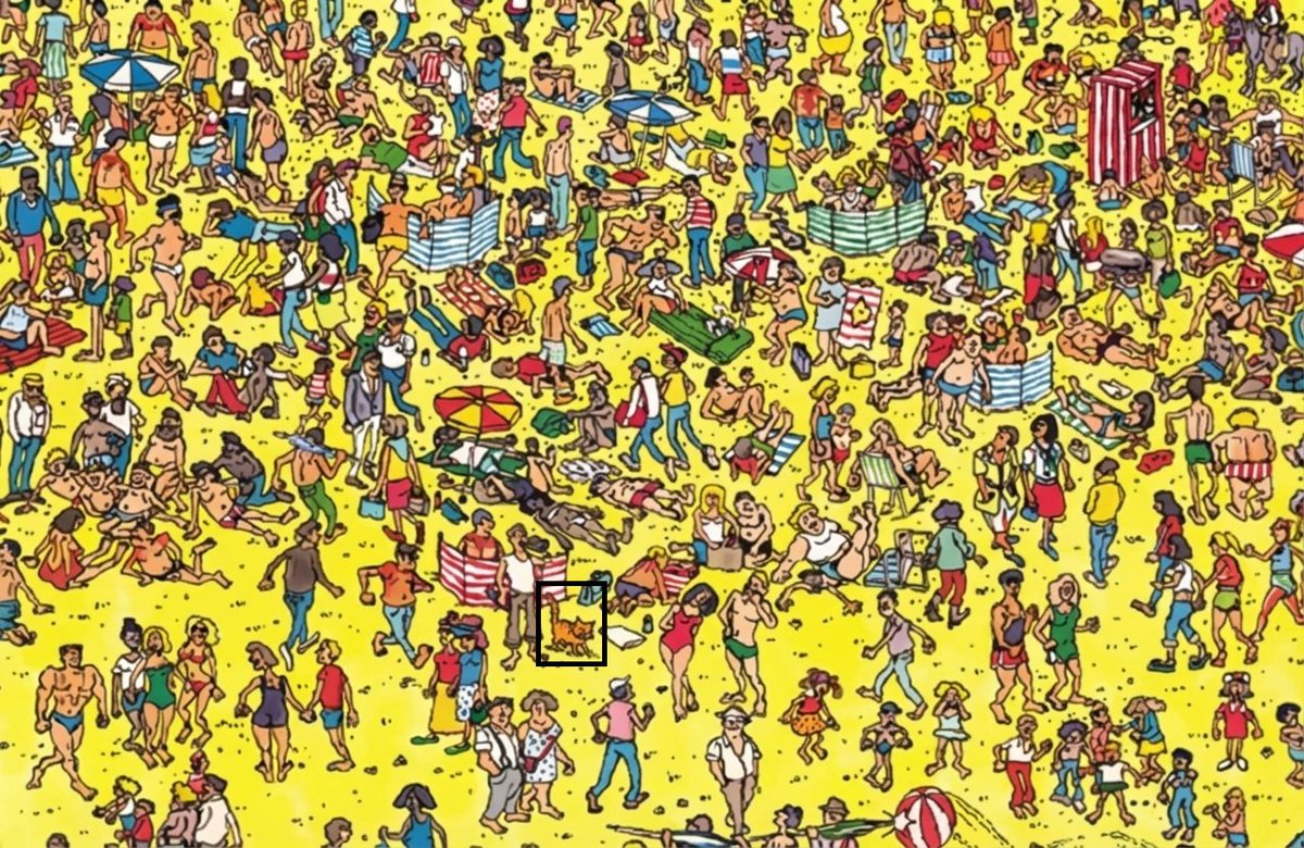 Mehedi Hasan tweet media