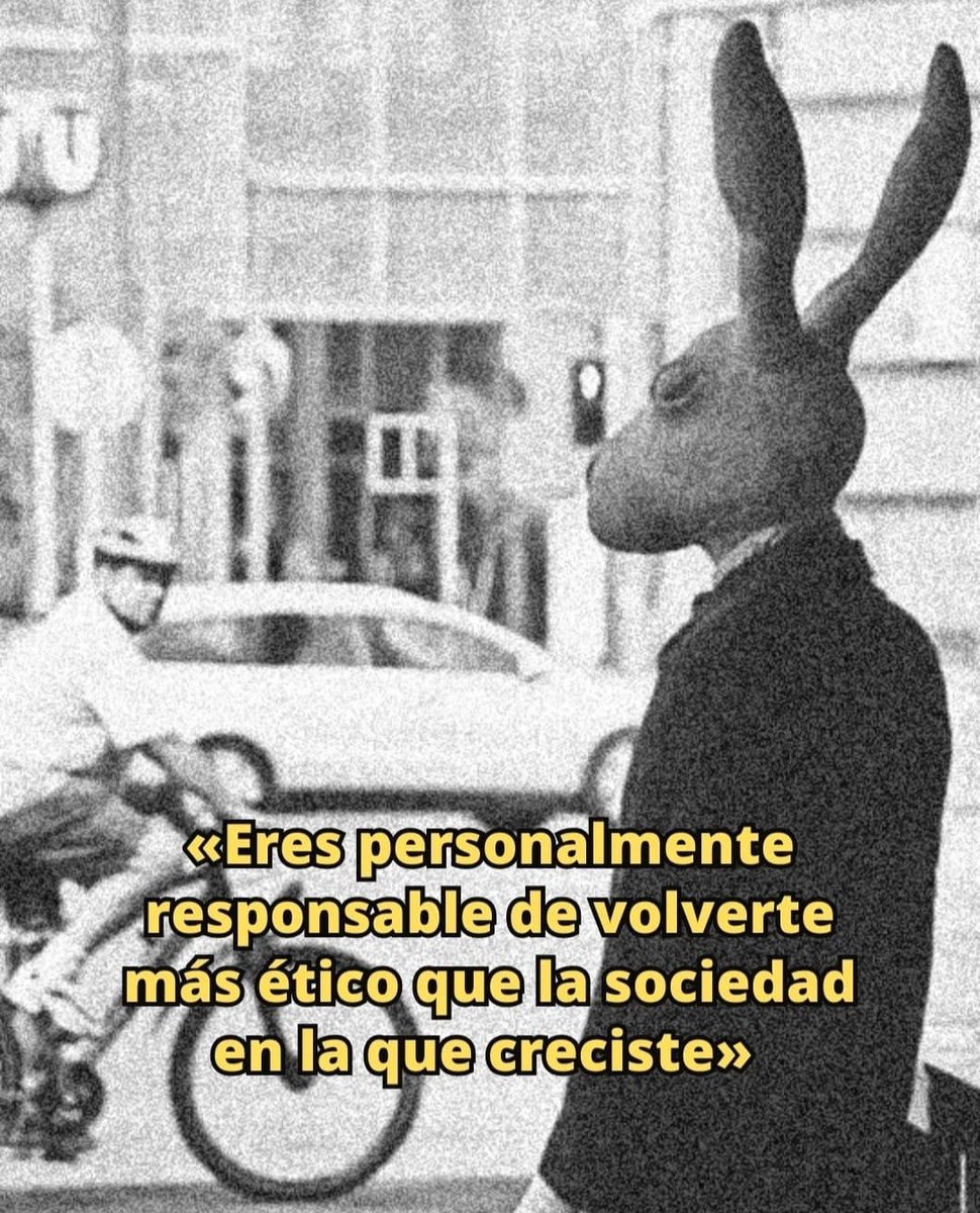 Mente Estoico (@mente_estoico) on Twitter photo 