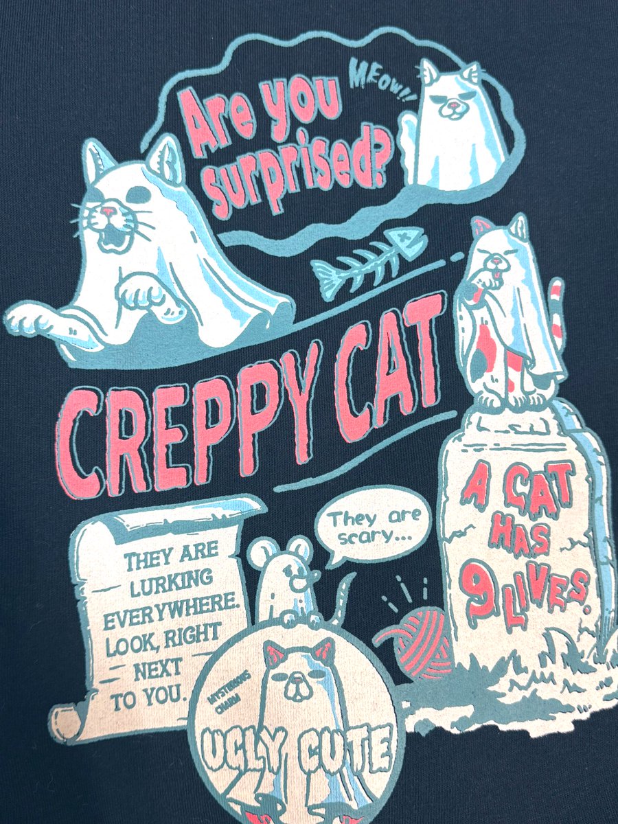 茶トラねこッカちゃんお迎えしました🐱サイン色紙には連れて行った