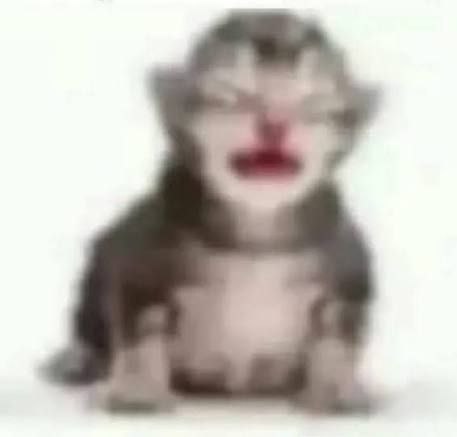 𝕵𝖔𝖍𝖓 🍊 𝕱𝖔𝖝~ tweet media