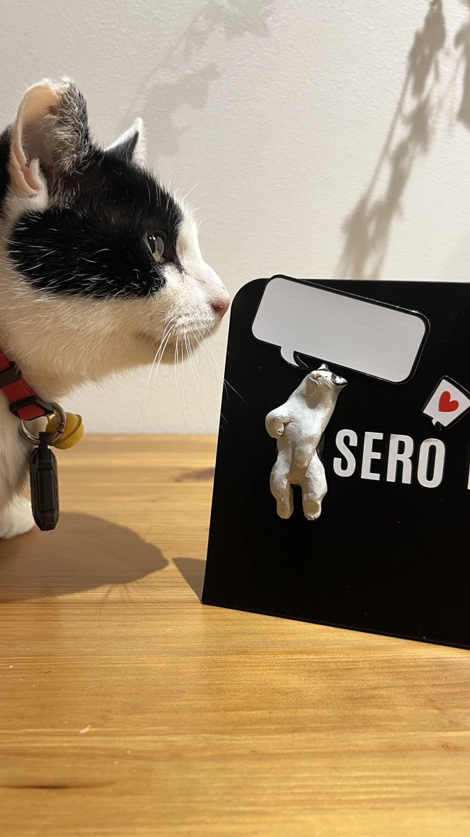 ︎山本 正義 (Masayoshi Yamamoto)立ち猫®︎ (@nekoiroiro