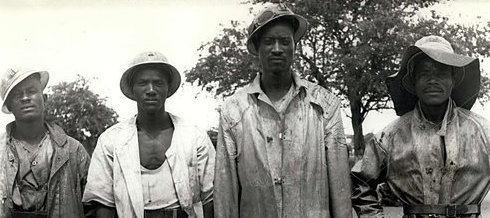 #OtD 13 Dec 1971 6000 Indigenous Ovambo workers in what is now Namibia went on strike against an exploitative apartheid forced contract work system. By January, they were victorious stories.workingclasshistory.com/article/8465/o…